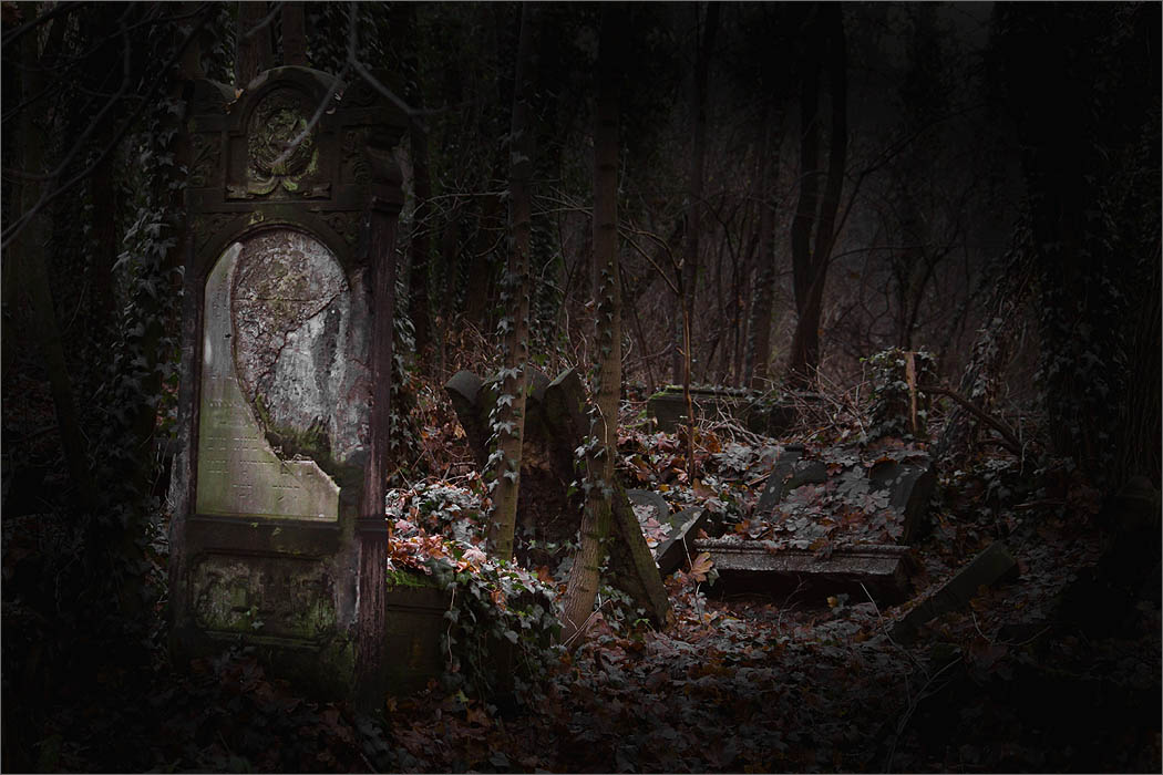 obraz pokazu slajd�w